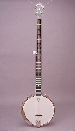 How Many Strings Does A Banjo Have? 3 Types Discussed - Play Guitars